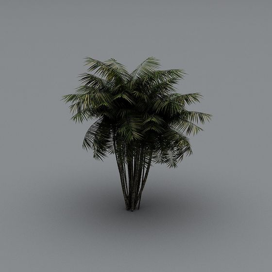 Tropical Low-Poly Palm Tree 3D model