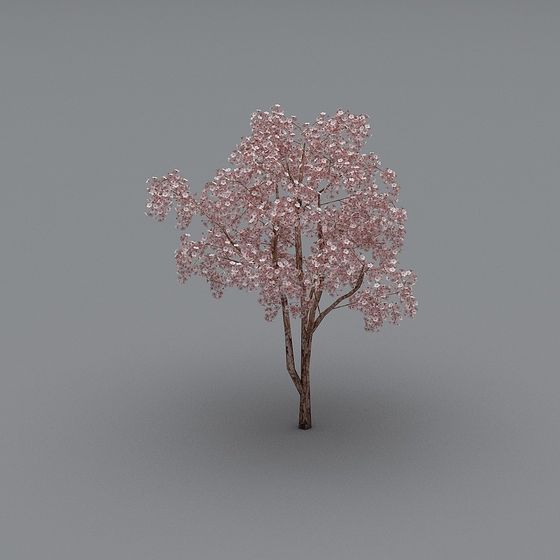 Low Poly Cherry Blossom Tree 3D Model