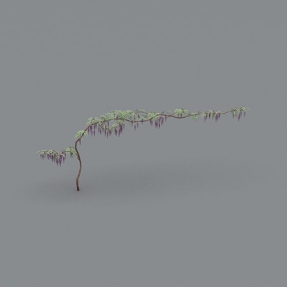 Low Poly Wisteria Branch 3D model