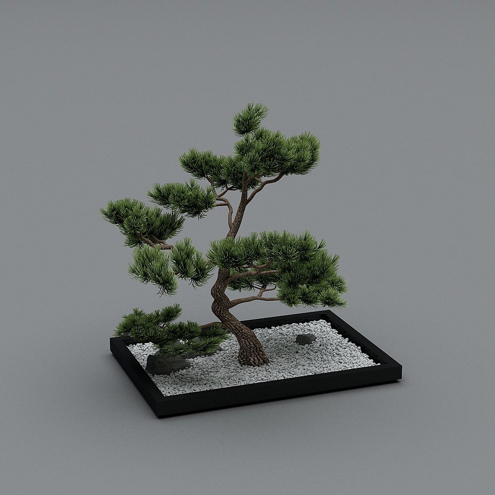 階段の吹き抜けが枯れた