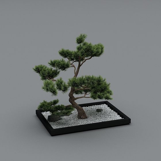 階段の吹き抜けが枯れた