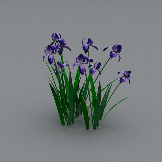 Purple Iris Flower 3D Model for Artistic Designs