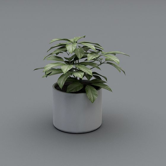 Urban Greenery 3D model