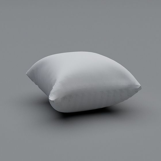 Minimalist Modern 3D Pillow Model