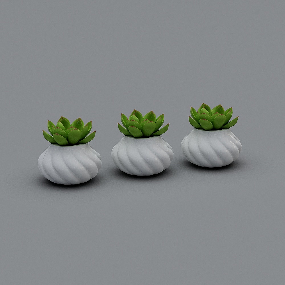 Vasinhos+decorativos+Suculentas+(Elly+Floricultura)