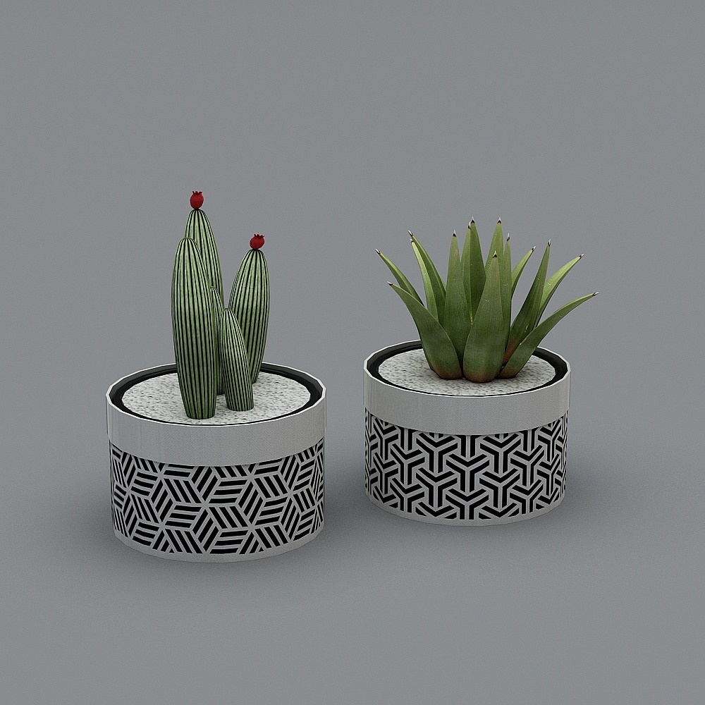 Vasinhos+con+Succulente+-+Marilia+Zimmermann.skp