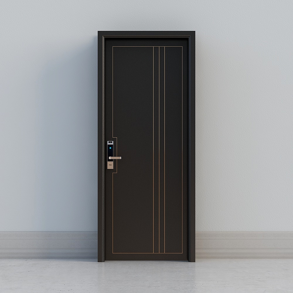 Modern Dark Door