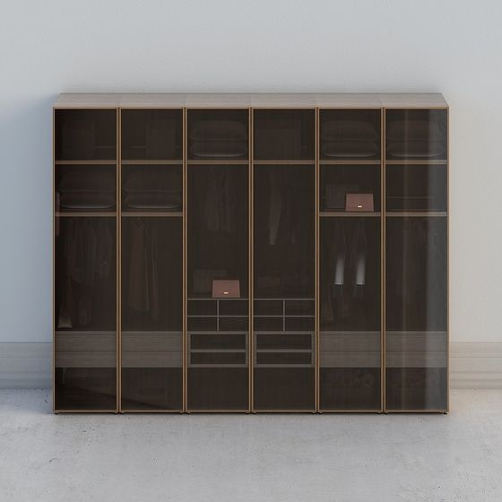 Stylish Glass Wardrobe 3D model