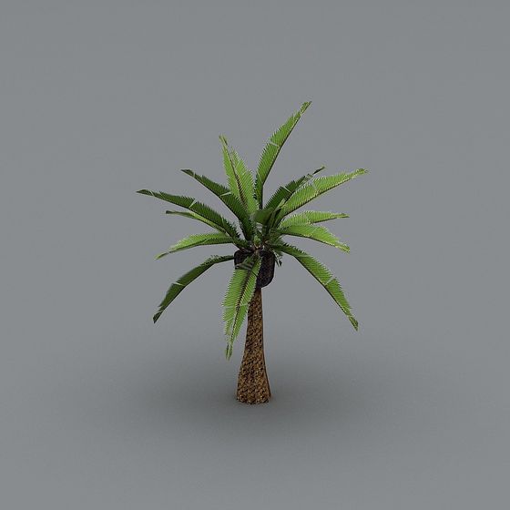 Realistic Palm Tree 3D model for Creative Projects