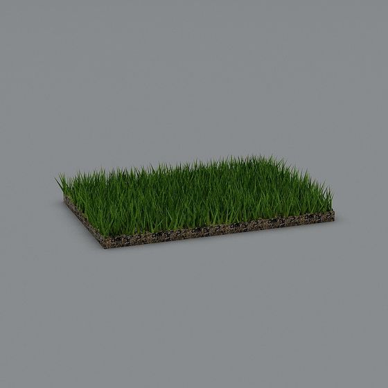 Lush Grass Plot Low-Poly 3D Model