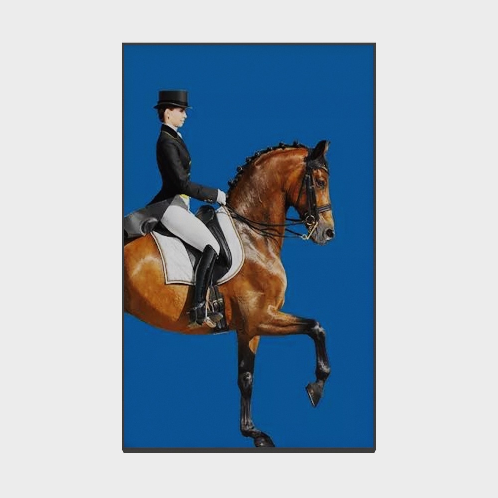 Roshan - Modern Wind - Living Room Dining Room Decorative Painting - My Big Dark Horse G