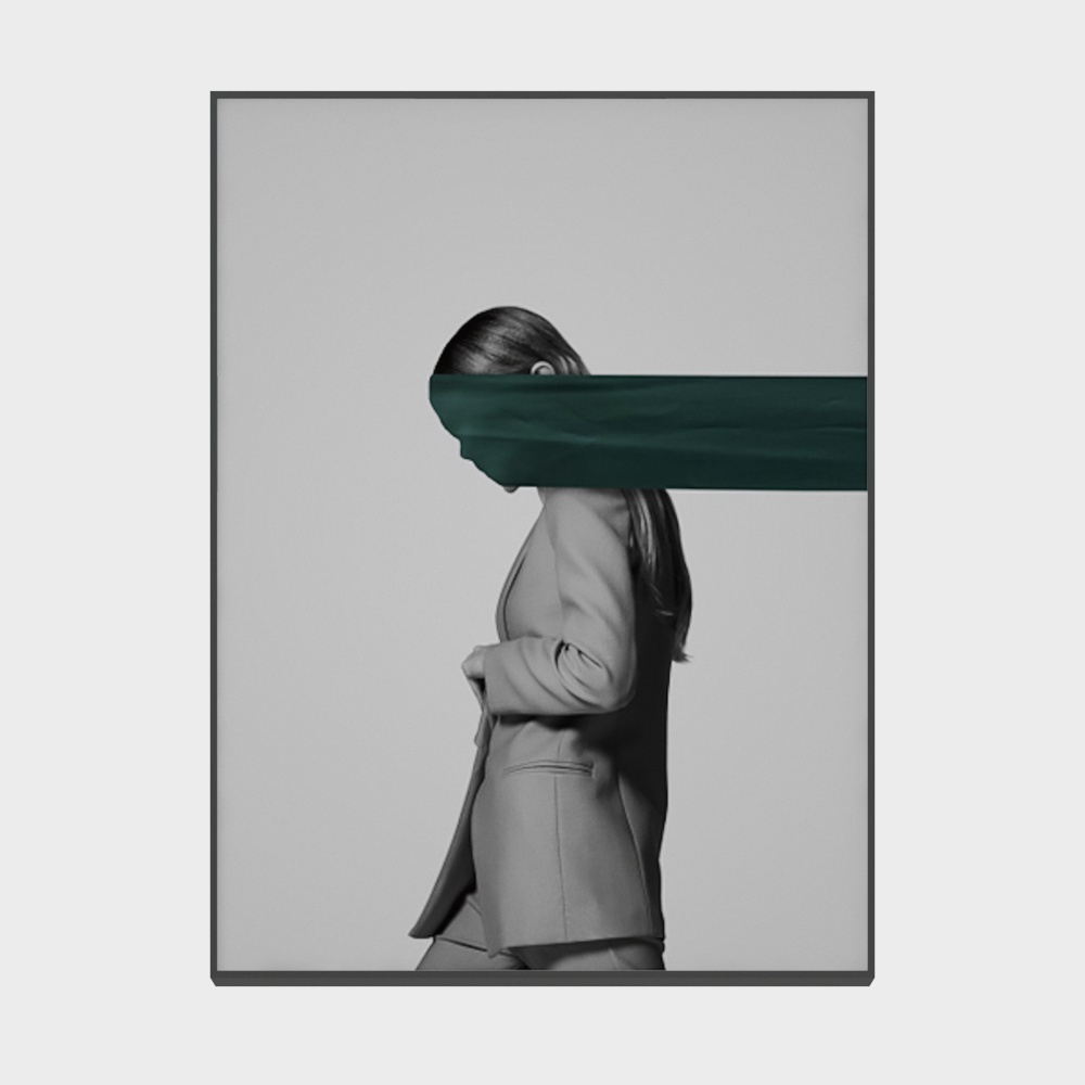 Roshan - modern wind - living room bedroom xuanguan decoration painting - not to bear the burden of Huahua