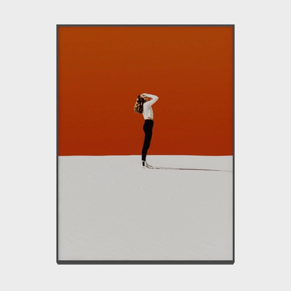 Roshan - modern wind - living room bedroom xuanguan decoration painting - not to bear the burden of Huahua