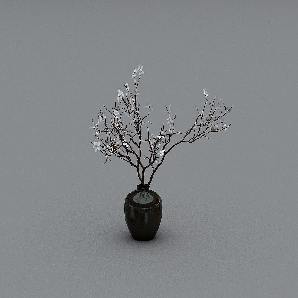 Vase noir pour plantes