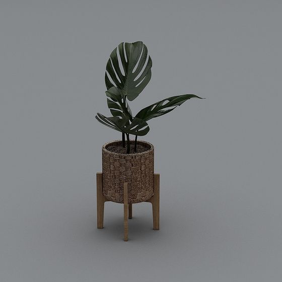 Rattan Plant Stand 3D model