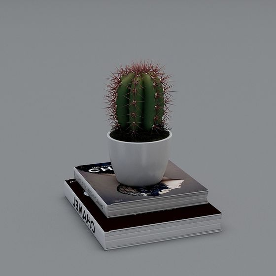 Desert Oasis 3D Model