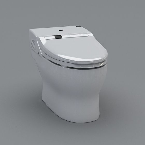현대식 화장실 변기