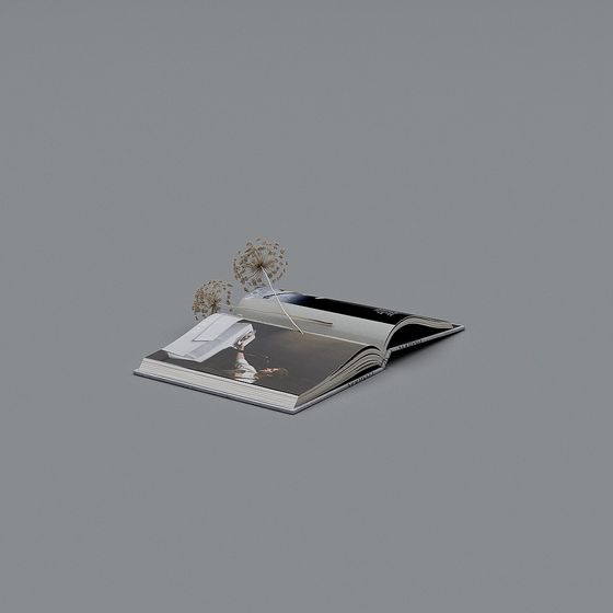Book Page Dream 3D Model