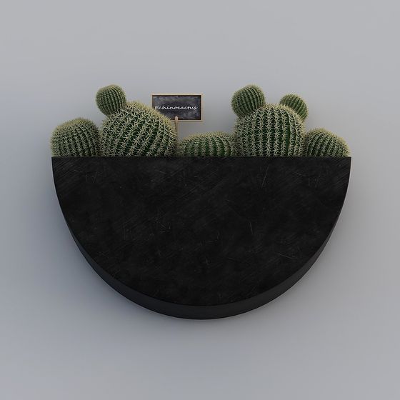 Desert Oasis 3D model