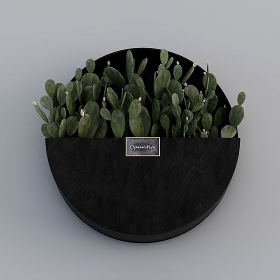 Realistic Opuntia 3D model for Creative Projects