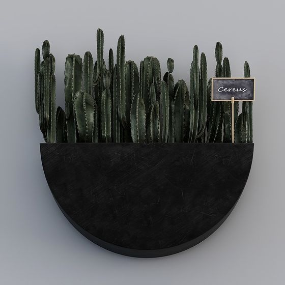 Realistic Cactus 3D model for Creative Projects