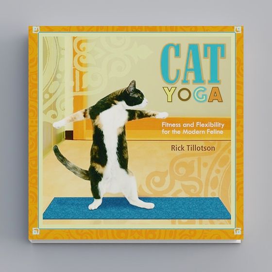 Playful Cat Yoga 3D model for Creative Projects