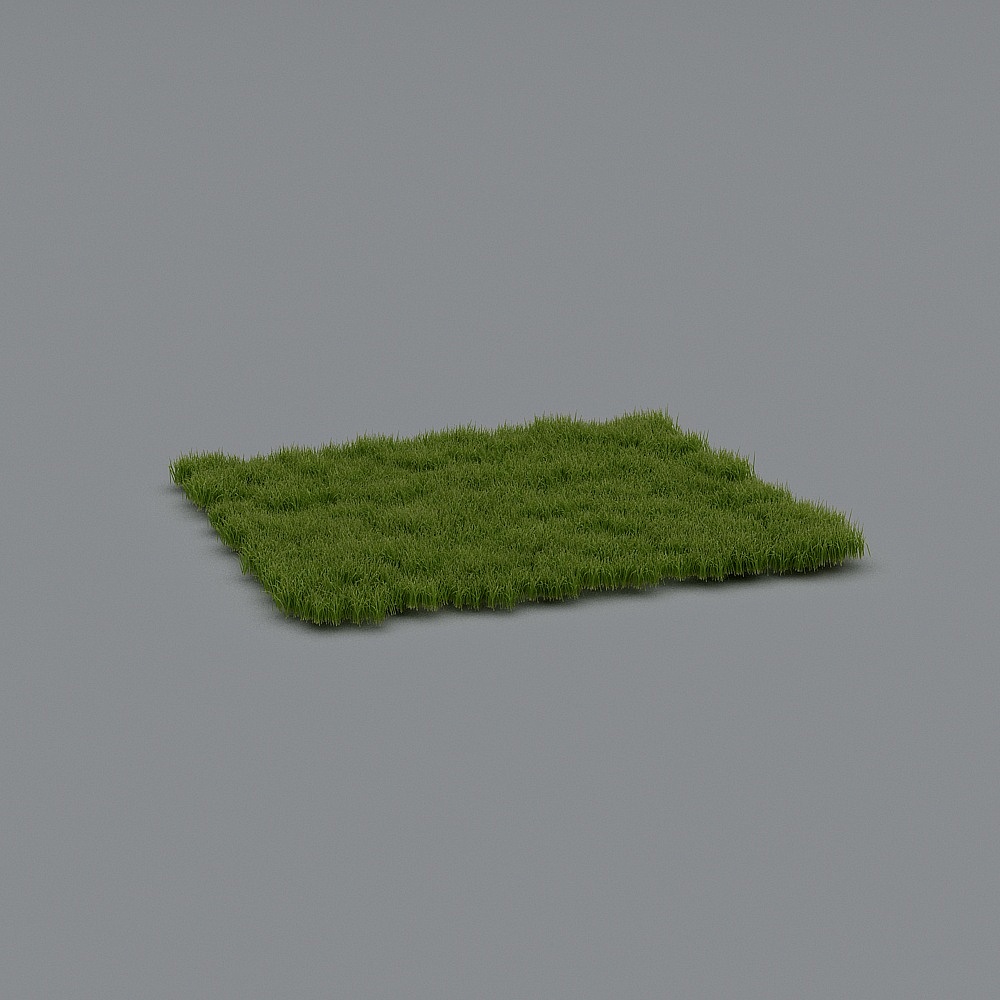 Grass Pieces_Spring
