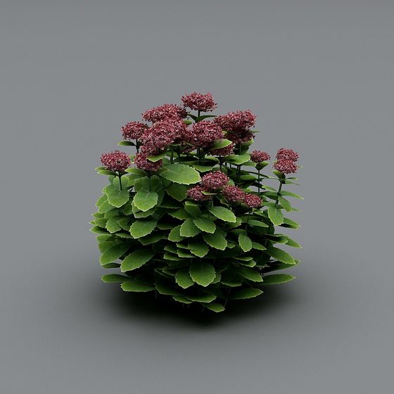 Violet Flower Clump Low-Poly 3D Model