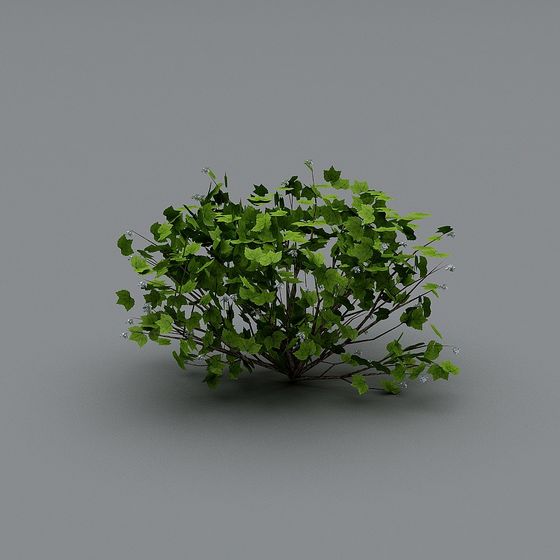 Spirit of the Forest Low-Poly Plant 3D Model for Creative Projects