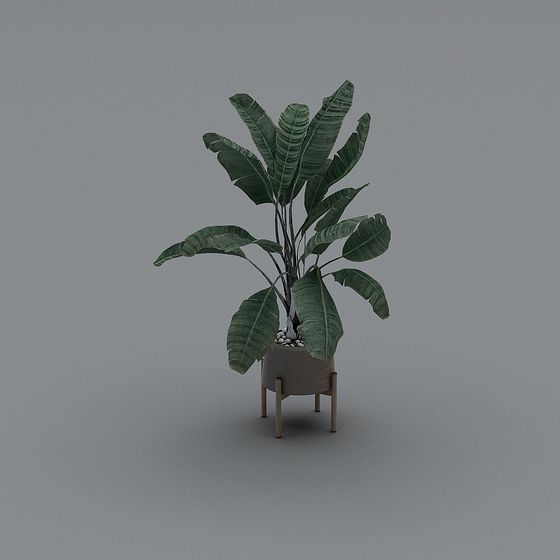 Phòng khách sạn - cây xanh Bắc Âu