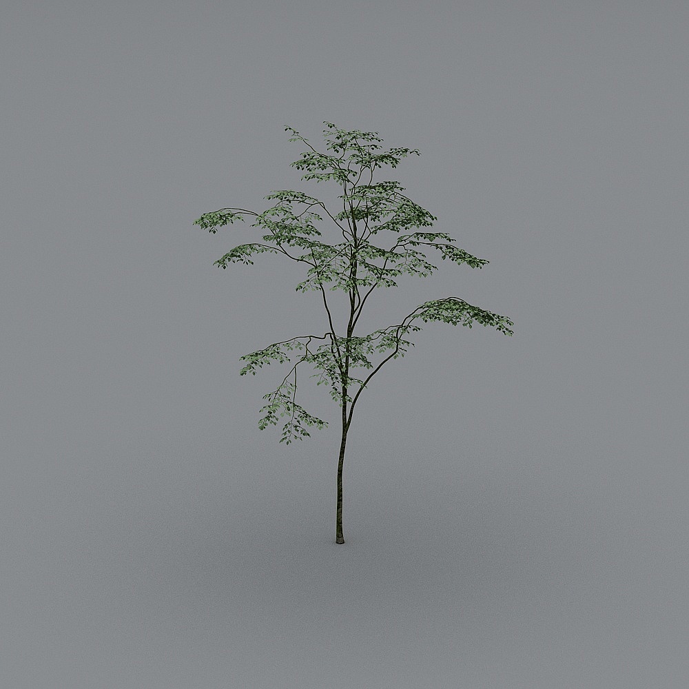 Hotel reception and rest area-green plants-2