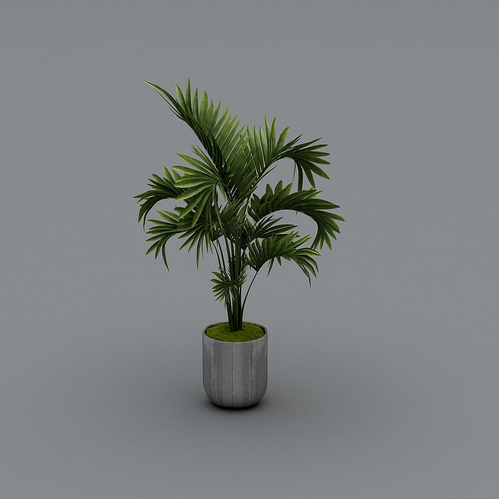 Hotel front lobby-modern green plants-3