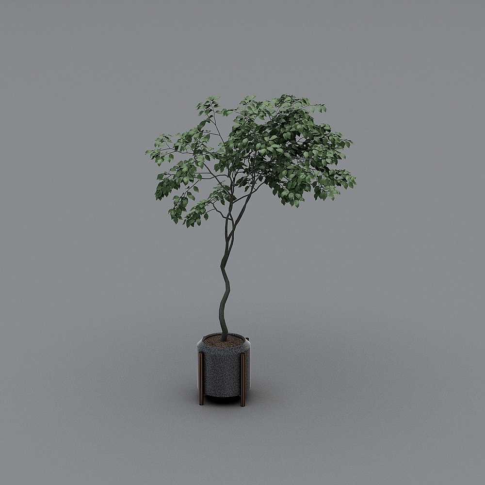 Hotel front lobby-modern green plants-4