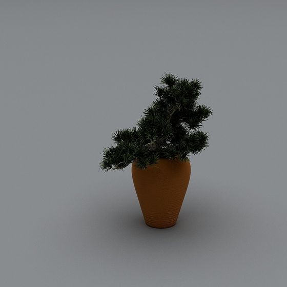 Potted Pine Tree 3D model for Designers