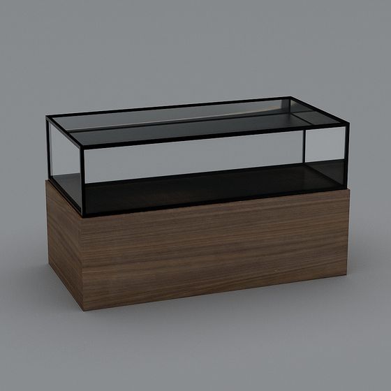 Elegant Minimalist Display Cabinet 3D model