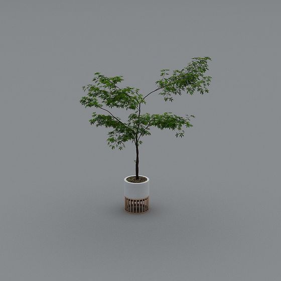 การรวมกันของโต๊ะและเก้าอี้จีนใหม่ - ของประดับรวม