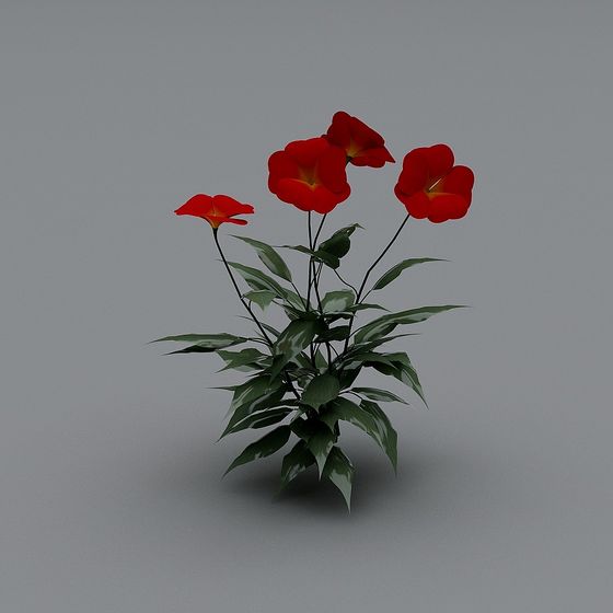 Vibrant Passion Flower 3D Model