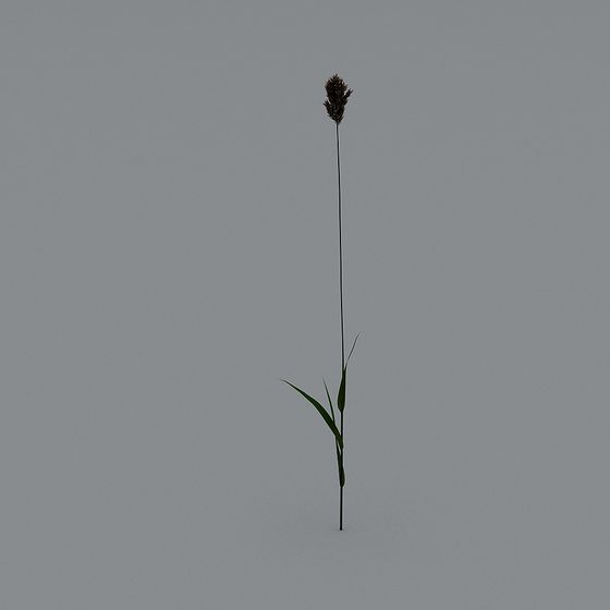 Unique Low-Poly Grass 3D Model