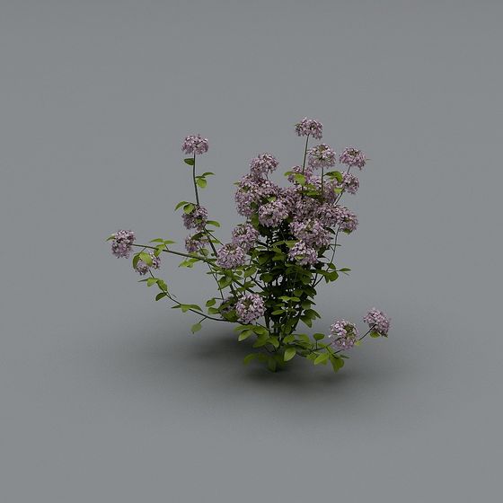 Bình hoa hồng ngoài trời-80