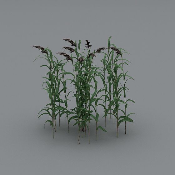 Low-Poly Wild Grass 3D model