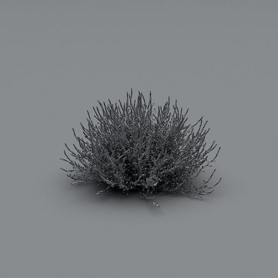 Desert Thorn Bush 3D model