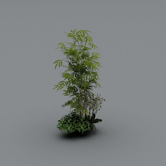 Bamboo Grove 3D Model for Creative Projects