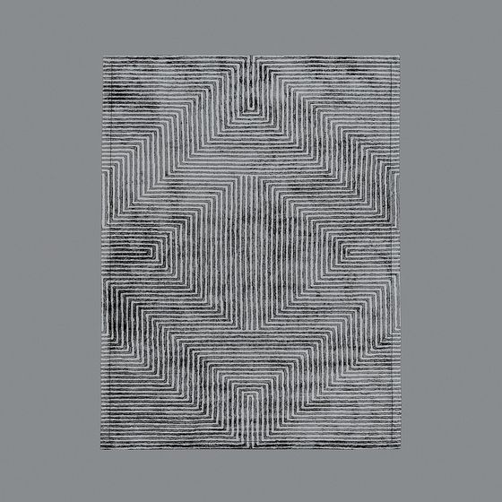 Labyrinth Carpet 3D model