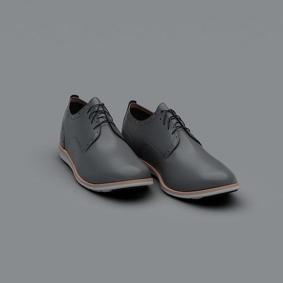 Elegant Grey Leather Shoe 3D model