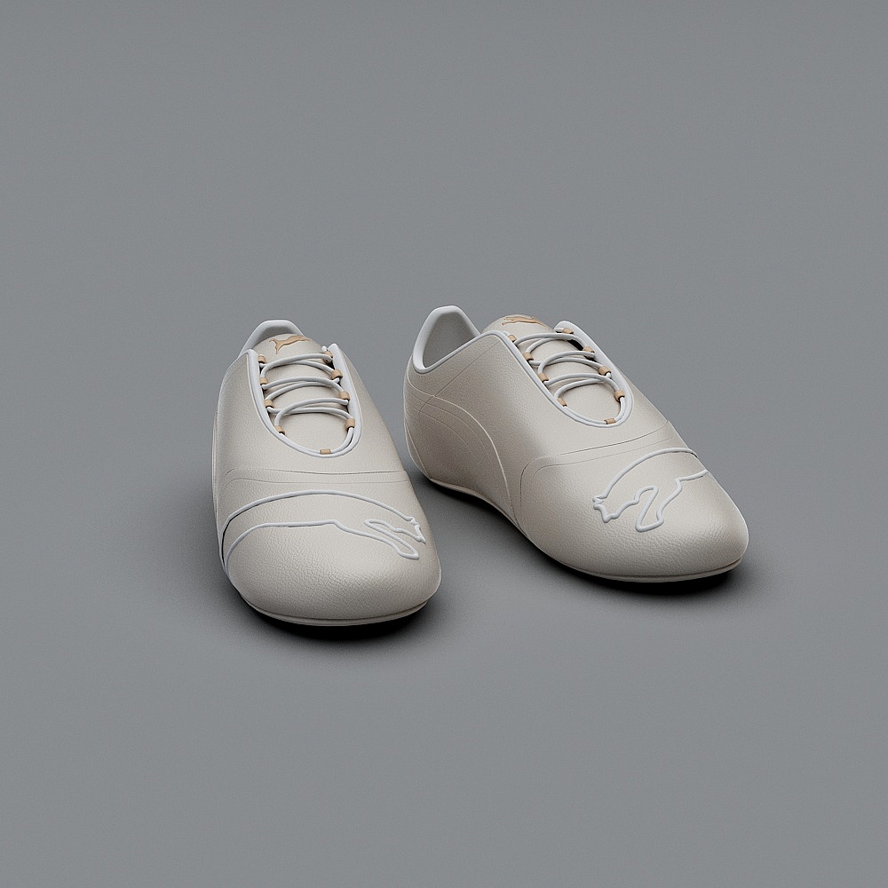 Modern shoes - flat shoes