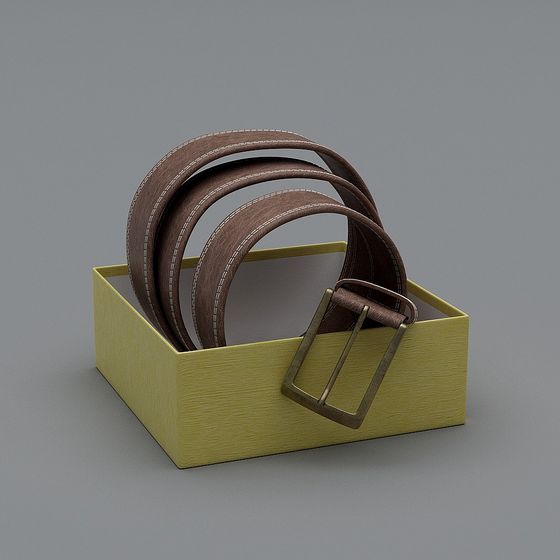 Stylish Belt Display Box 3D model