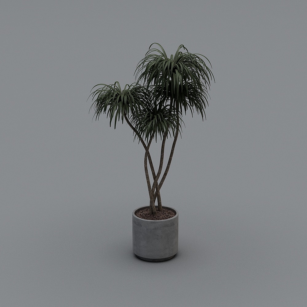Lively Indoor Plant 3D Model for Creative Projects
