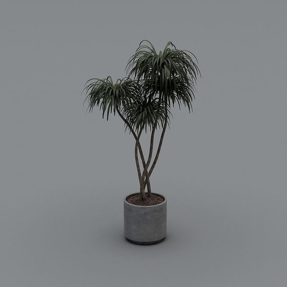 Realistic Indoor Plant 3D Model for Modern Design