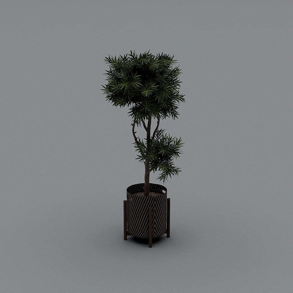 Modern Potted Plants 18-2