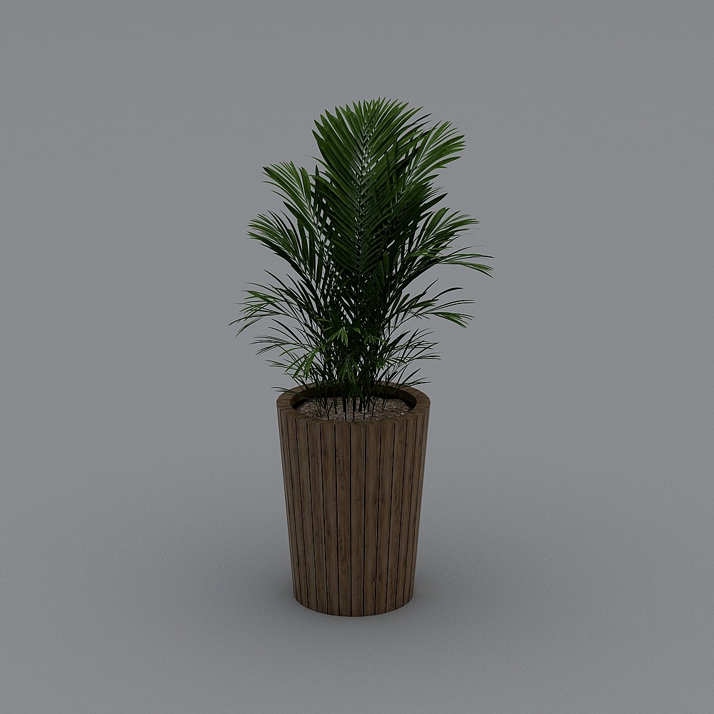Modern Potted Plants 16-2
